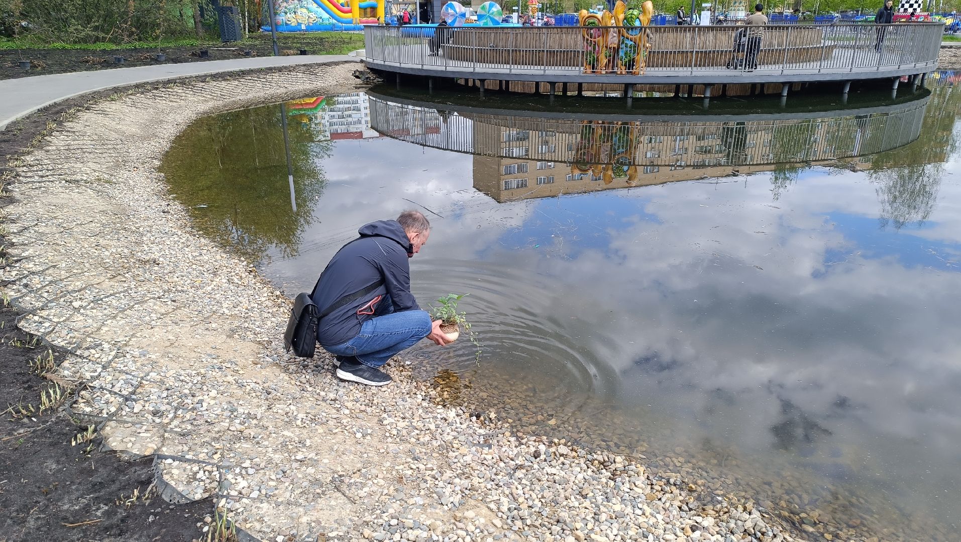 экология, дуб, лобня, парк,