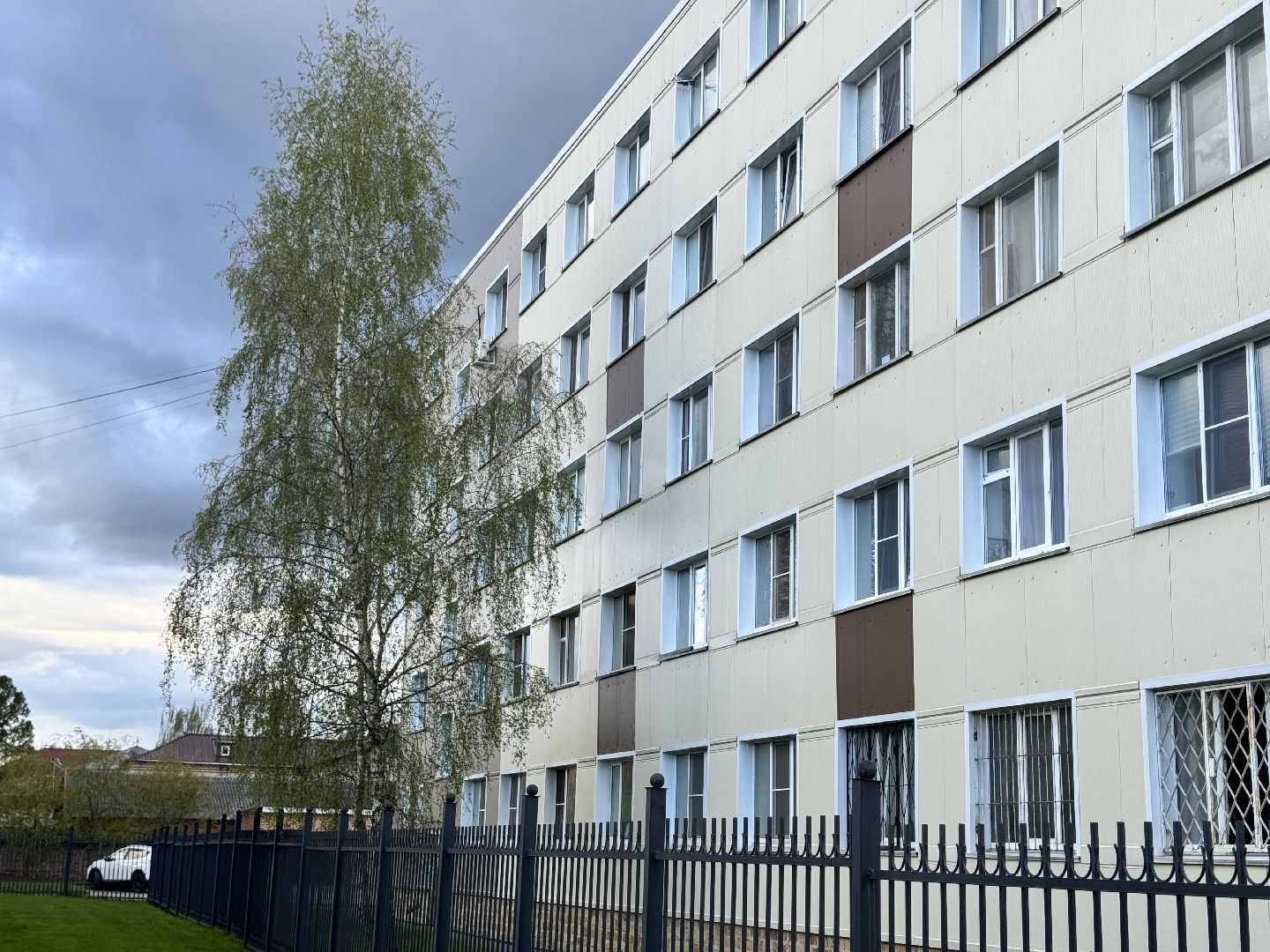 шаховская, пыльца березы, аллергия, аллерголог,