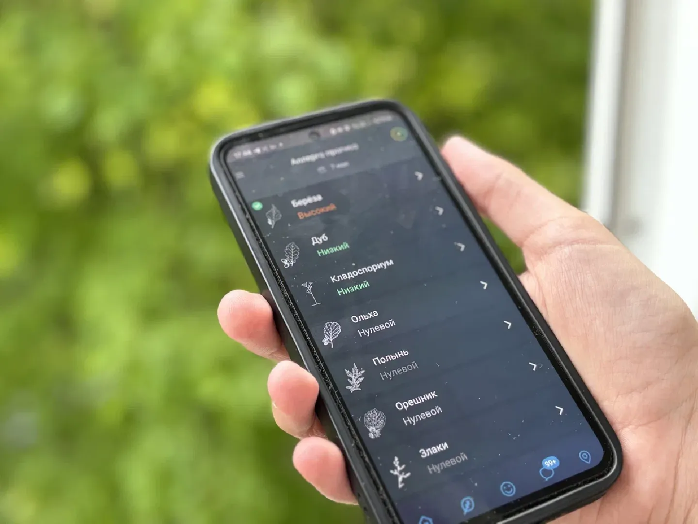 шаховская, пыльца березы, аллергия, аллерголог,
