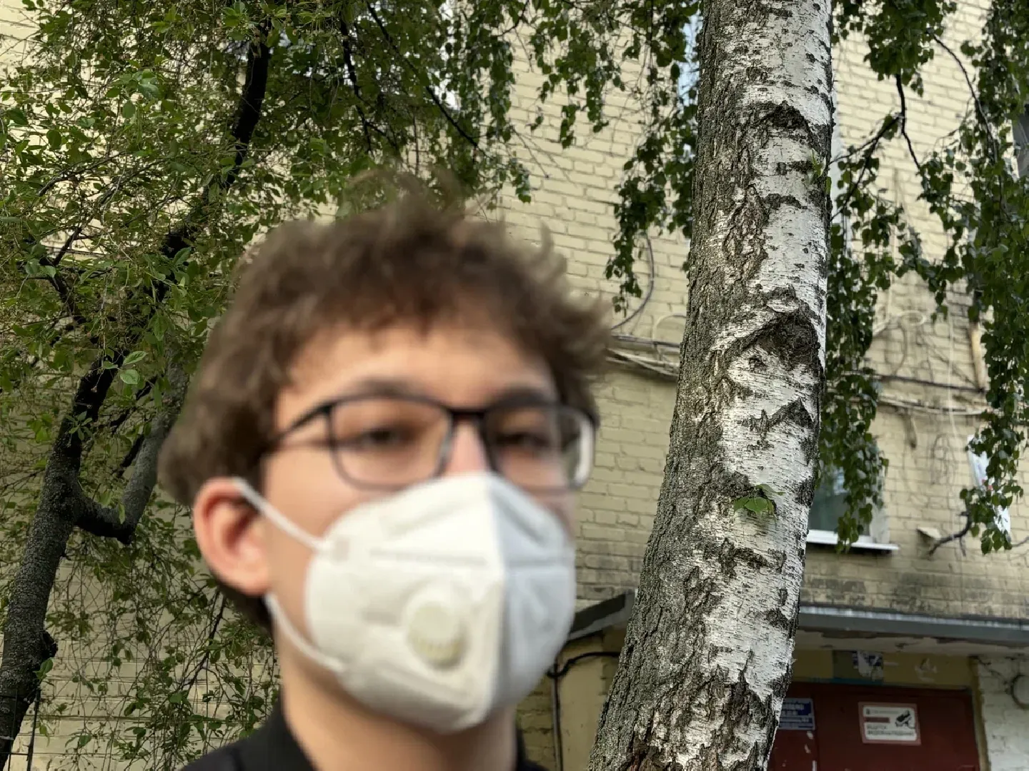 шаховская, пыльца березы, аллергия, аллерголог,