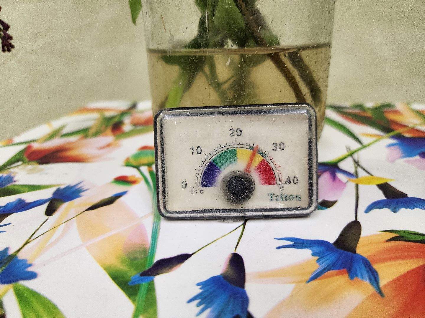 Подольск , бабочки, Выставка,