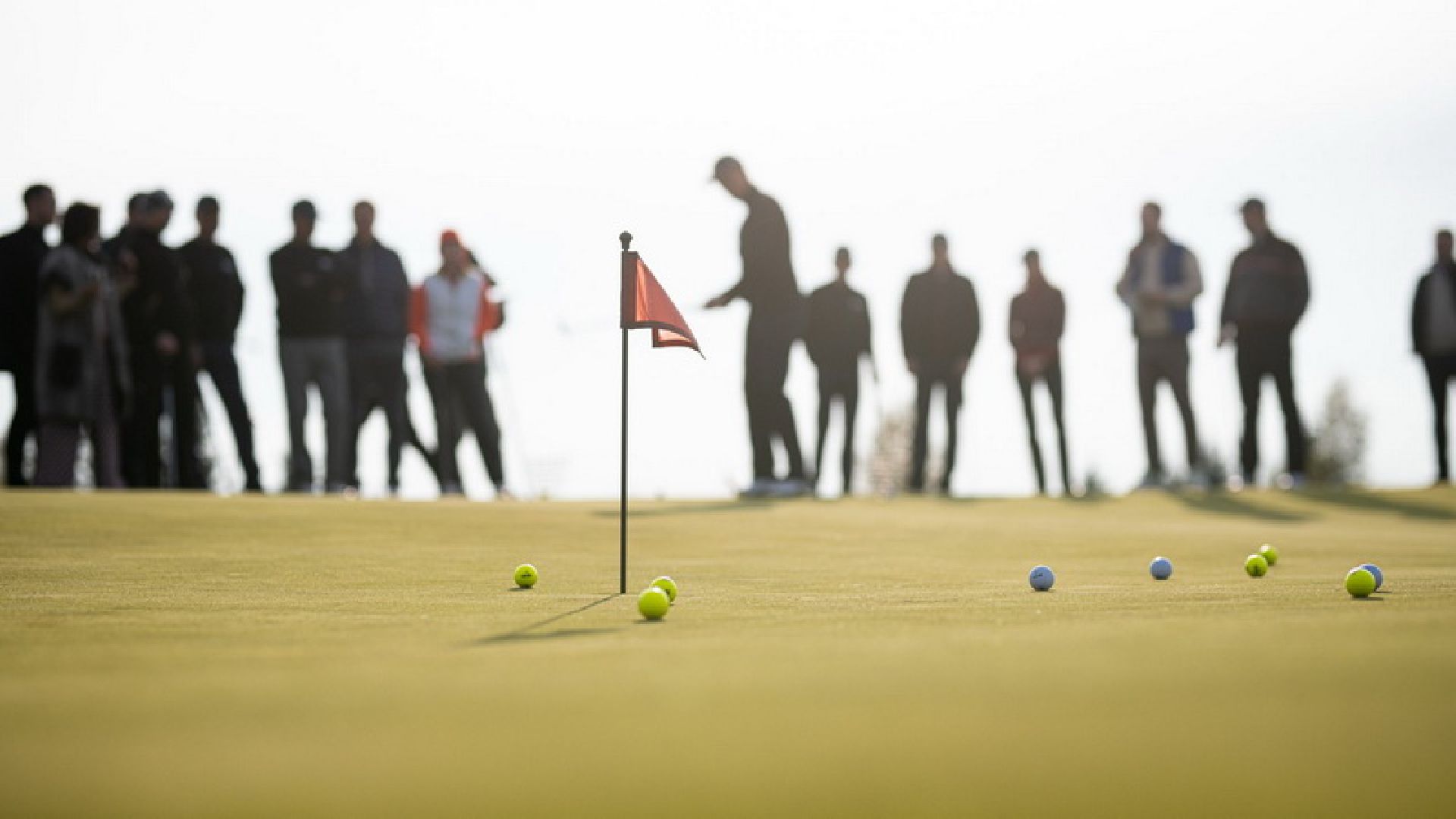 Дмитров, Лето в Подмосковье, Дмитровский кремль, Парк Березовая роща