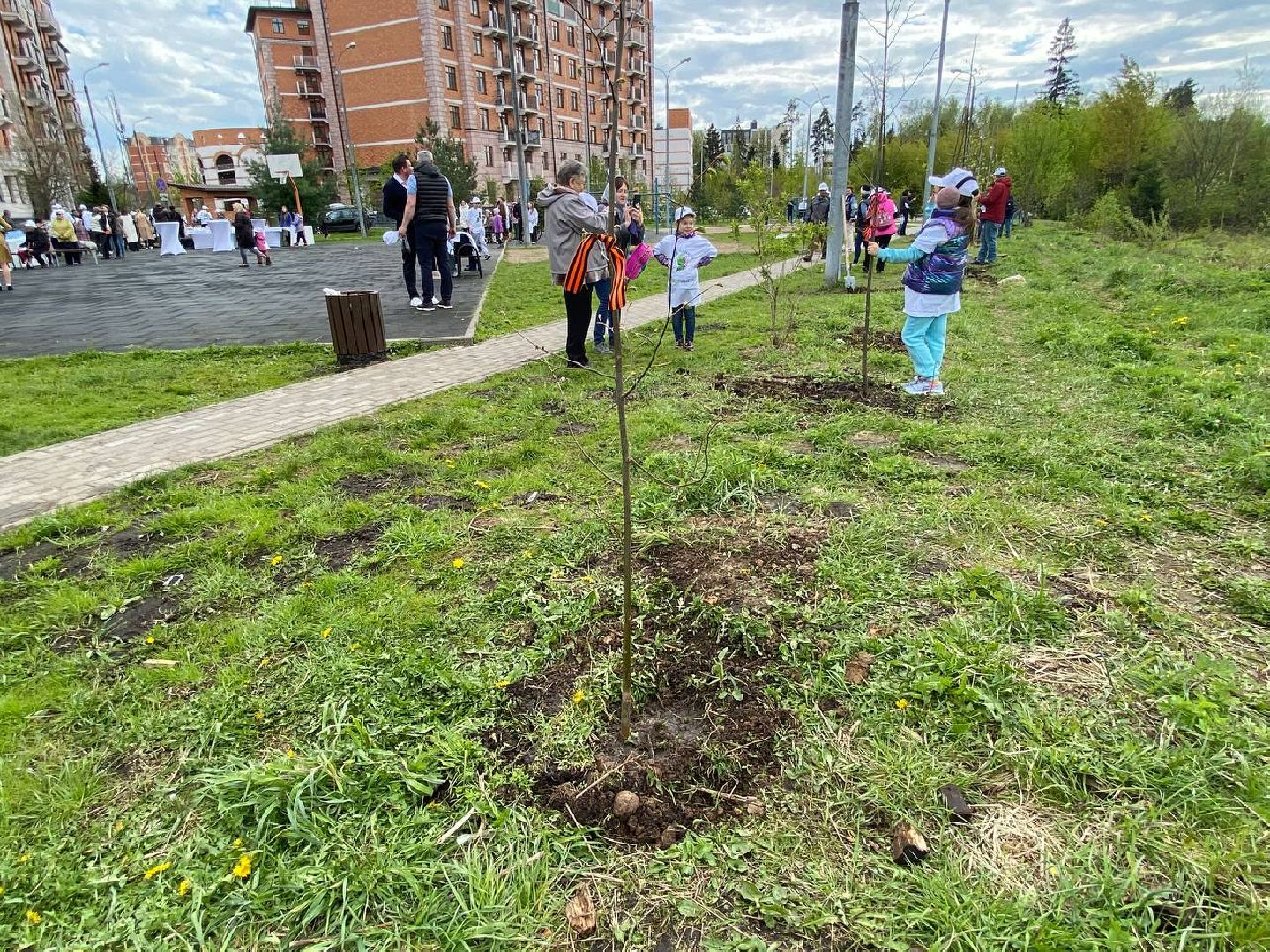 сад памяти, посадить дерево, новый сад в Опалихе,
