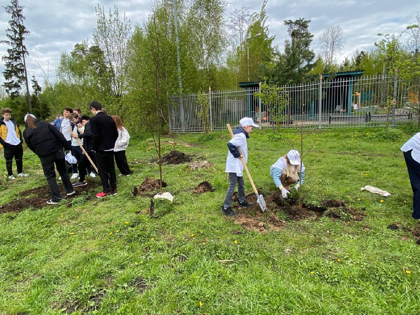 сад памяти, посадить дерево, новый сад в Опалихе,