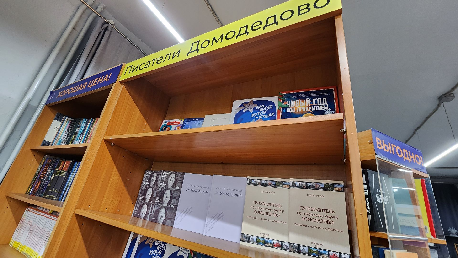 общество, стихи, культура, писательница, поэтесса, литература, домодедово, подмосковье ,