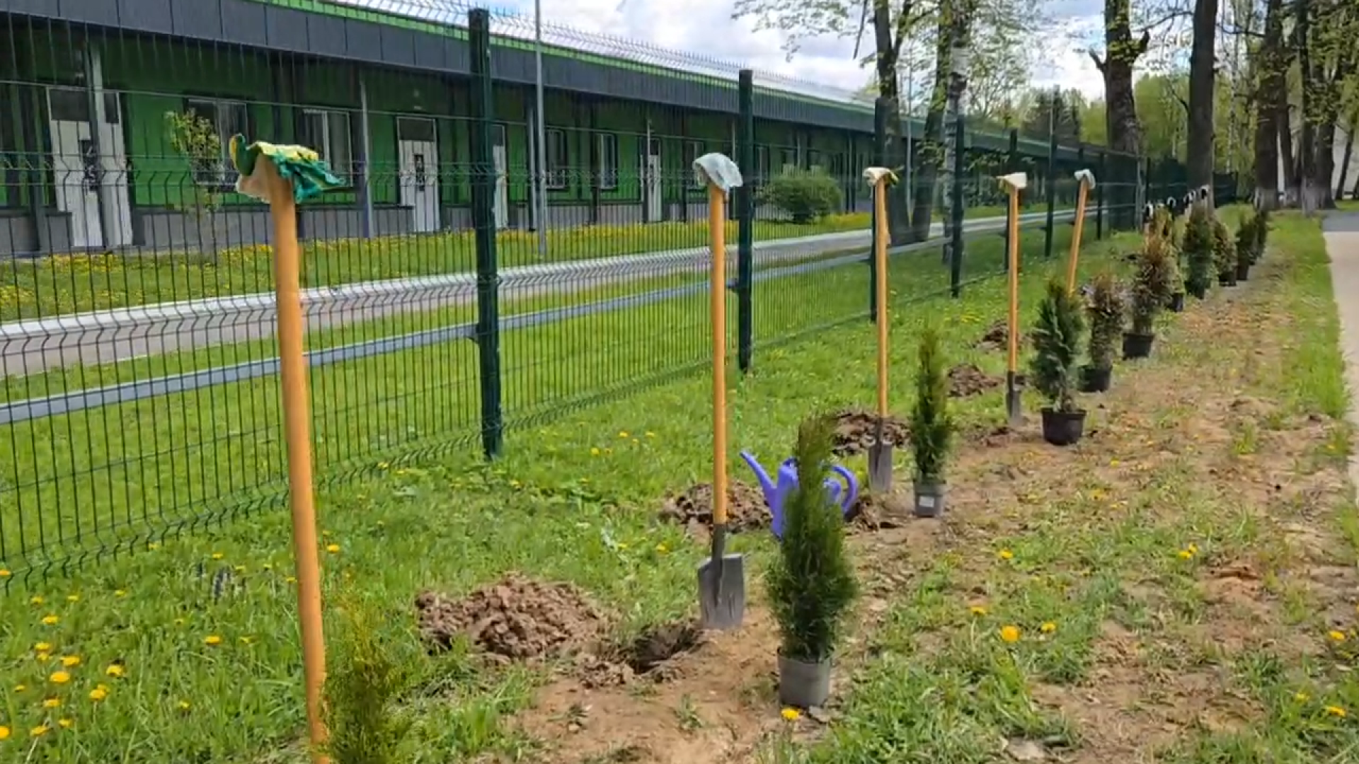 военный госпиталь одинцово, военные врачи, сво, реабилитация,