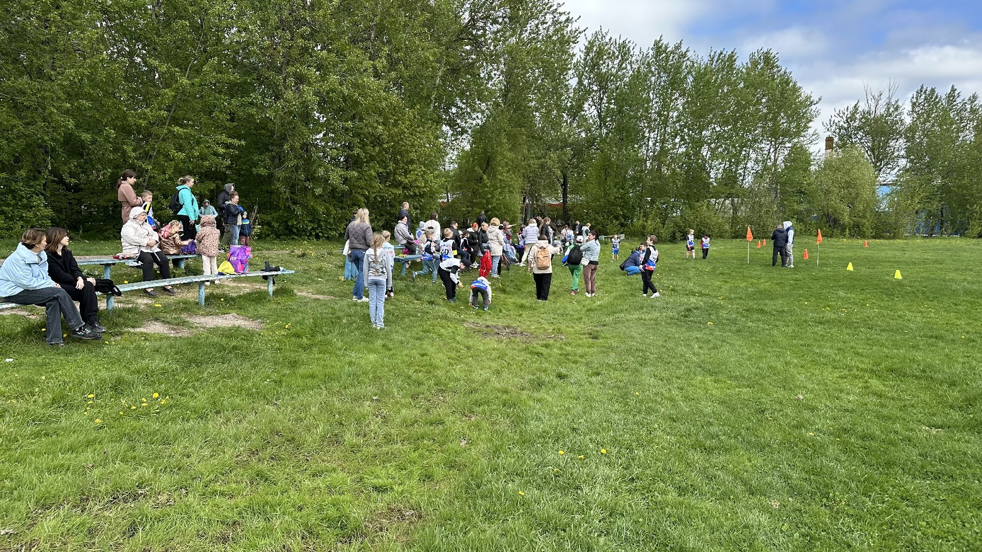 домодедово, спорт, забег,