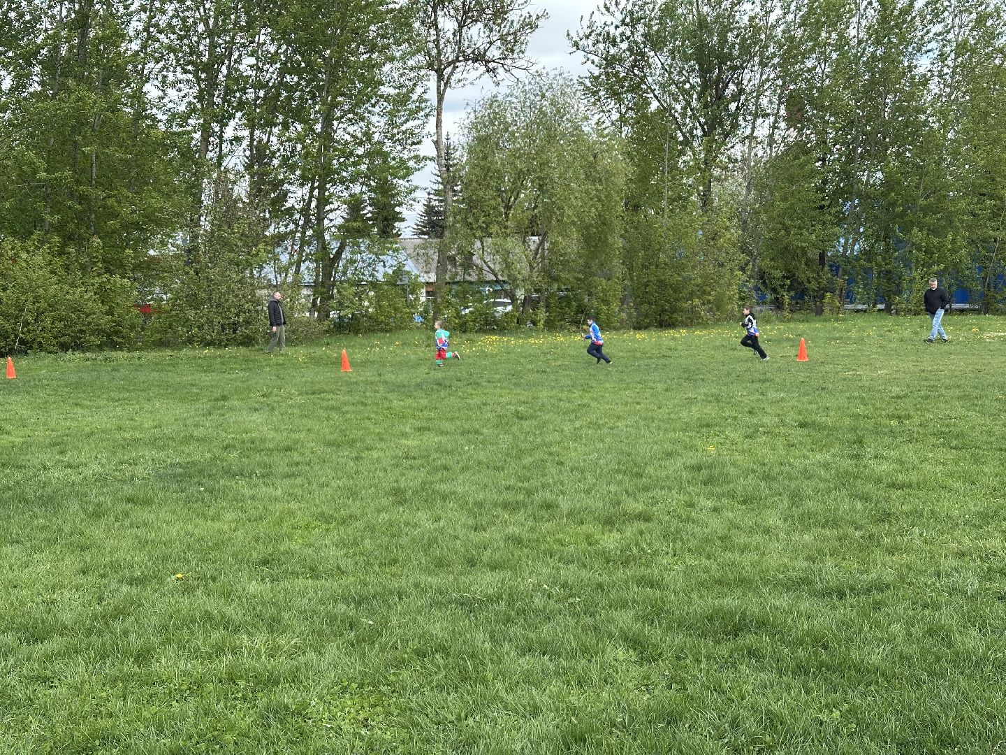 домодедово, спорт, забег,