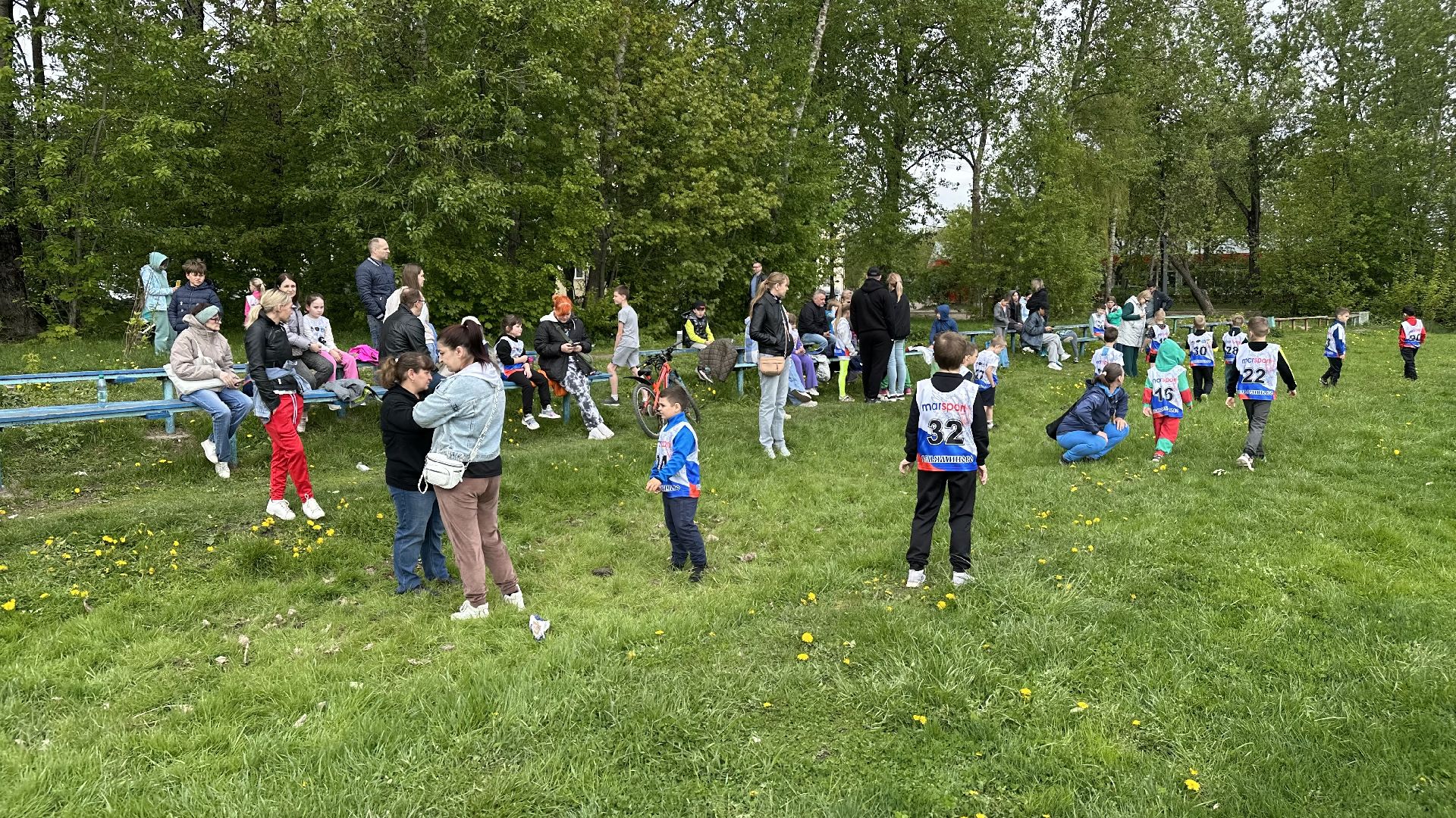 домодедово, спорт, забег,