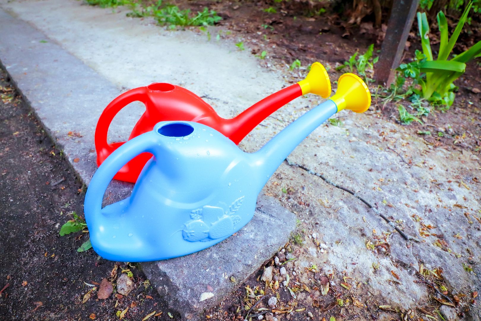 клин, общество, благоустройство, чайковский, ландыши, культура,