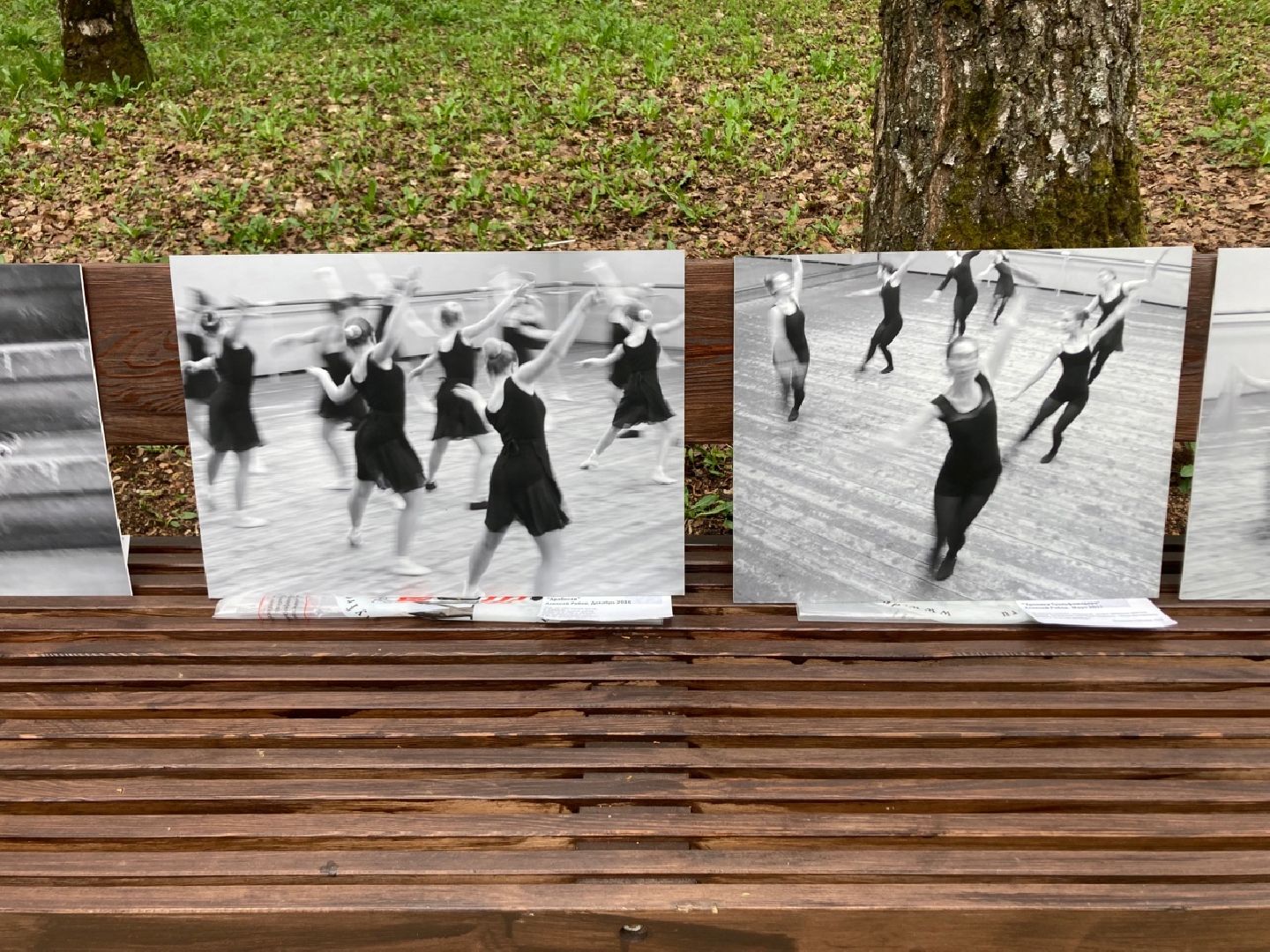 Солнечногорск, парки, фестиваль, летний сезон, мероприятия