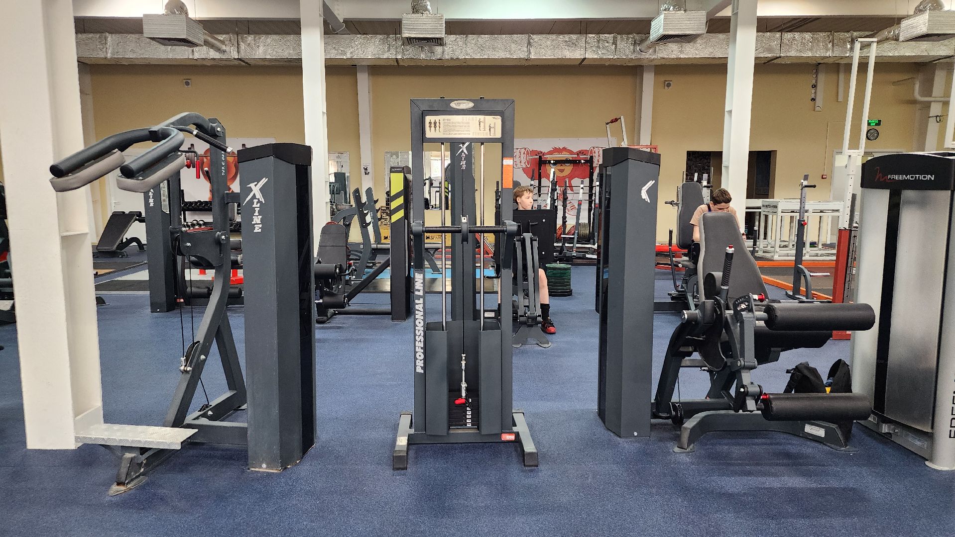 чемпионат мира по тяжелой атлетике, тяжелая атлетика,  спорт, старая купавна,  богородский городской округ,