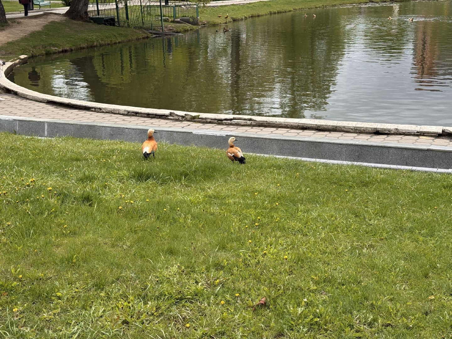 День Победы, Одинцово, 9 мая,