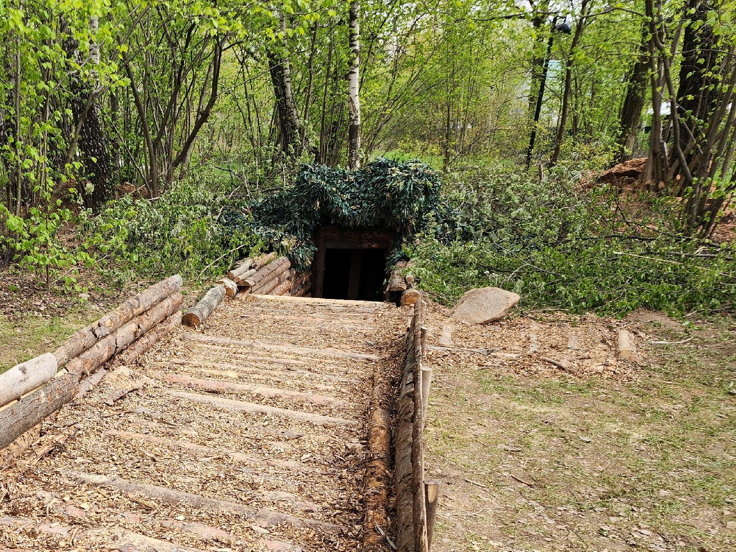 фрязино, 80-летие великой победы, сво, лесопарк,