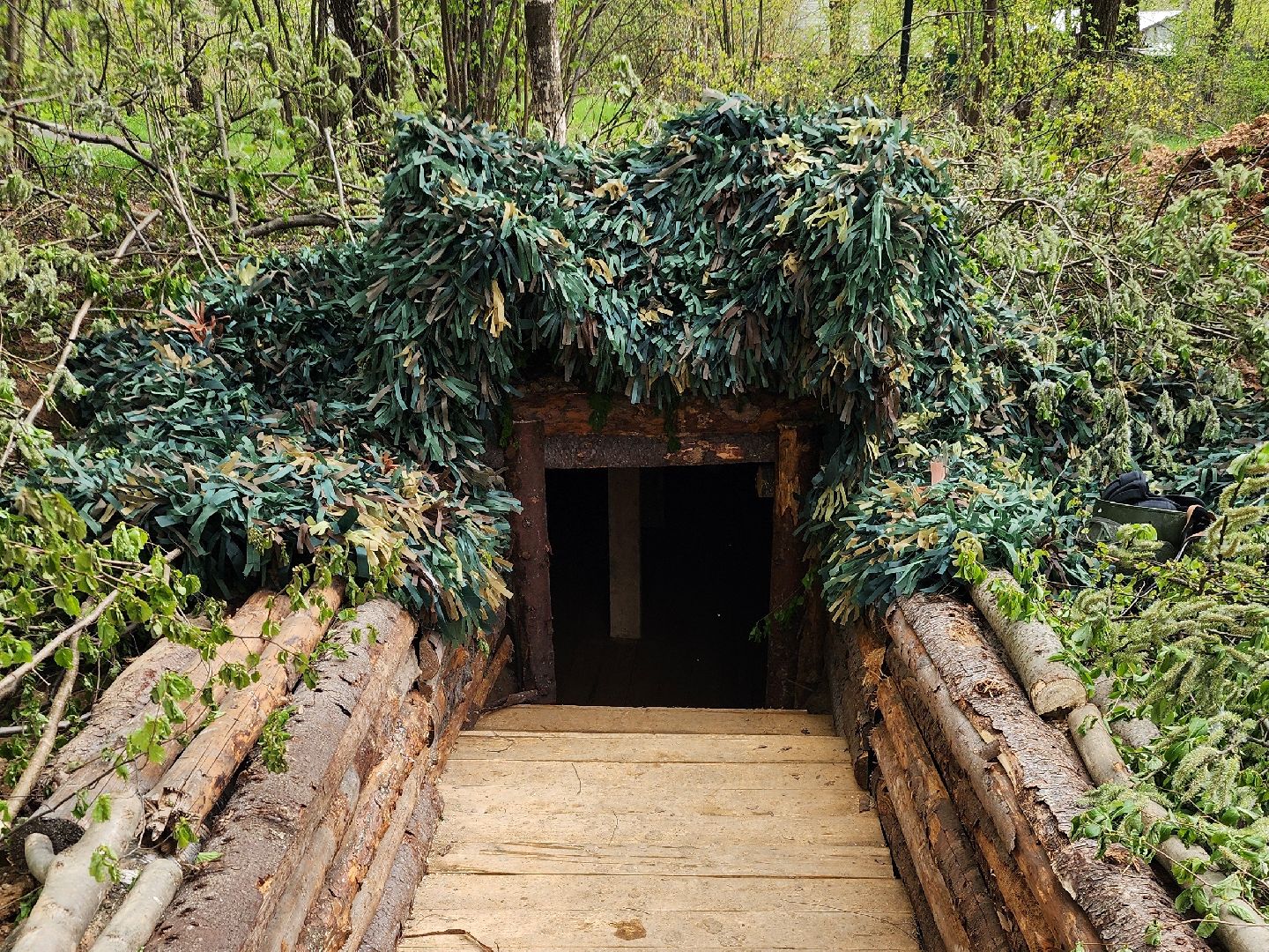 фрязино, 80-летие великой победы, сво, лесопарк,