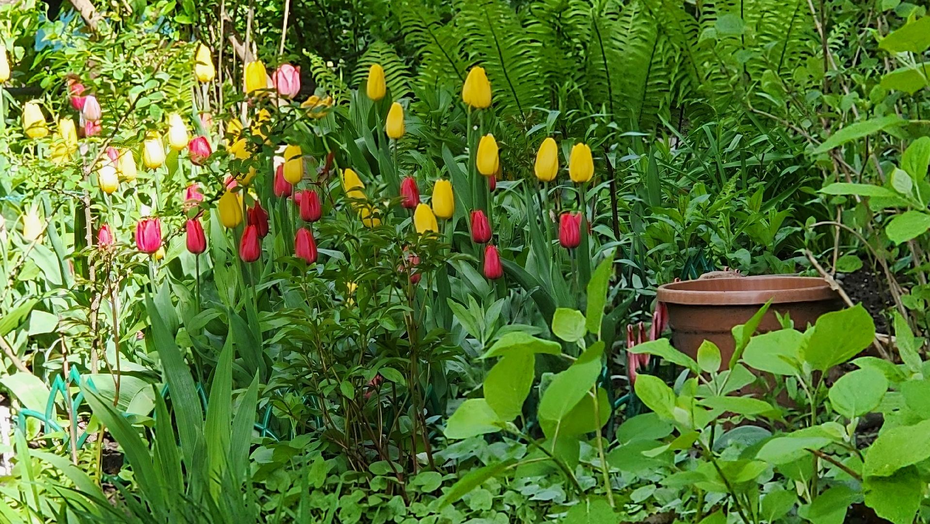 Реутов,  День Победы , Ветеран, именная табличка, Мария Остапенко ,