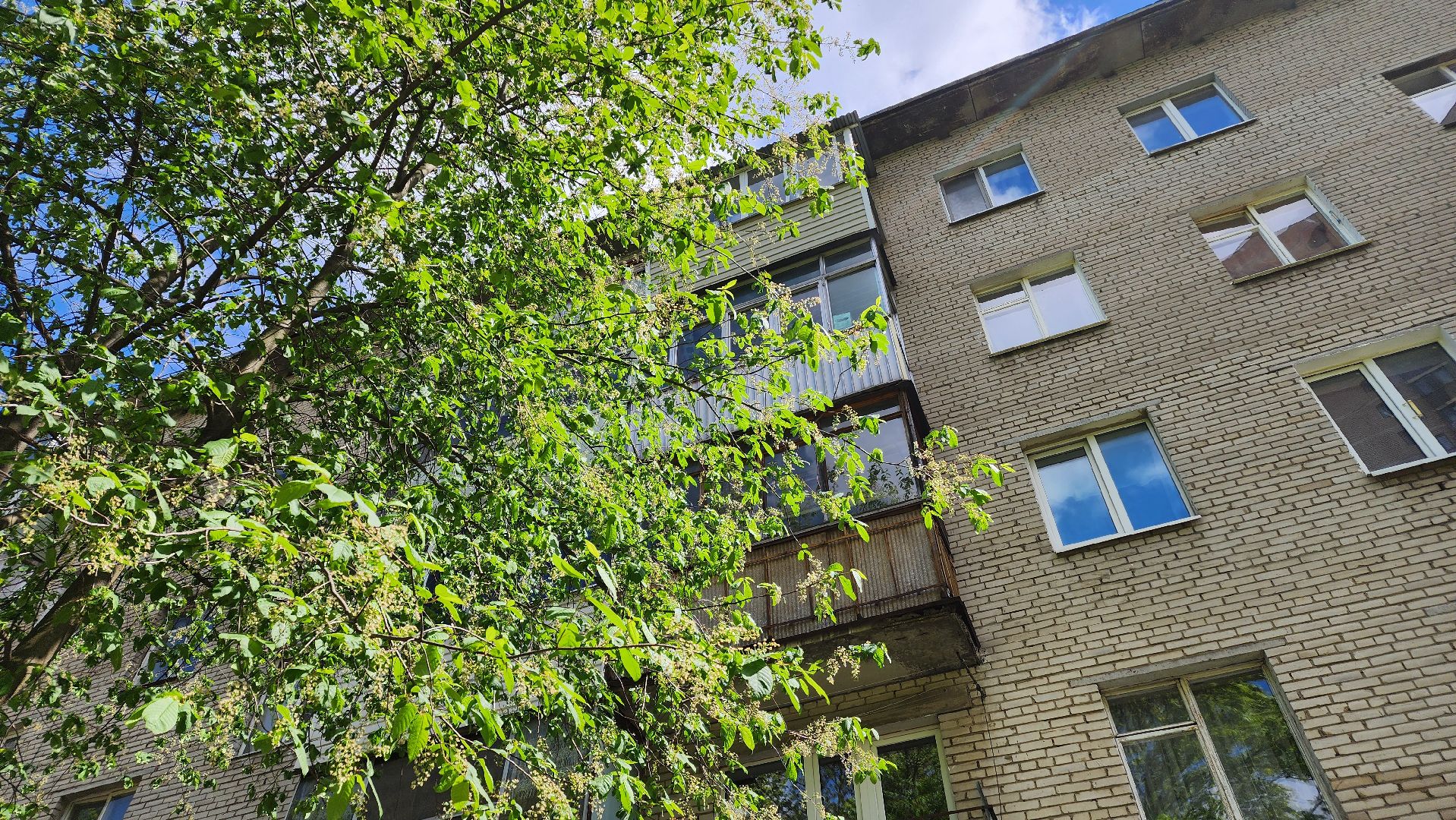 Реутов,  День Победы , Ветеран, именная табличка, Мария Остапенко ,