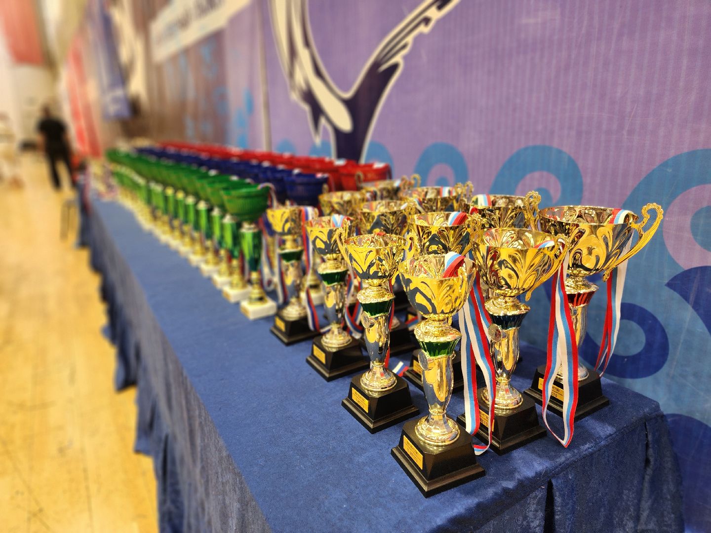 соревнования, карате, орехово-зуево,