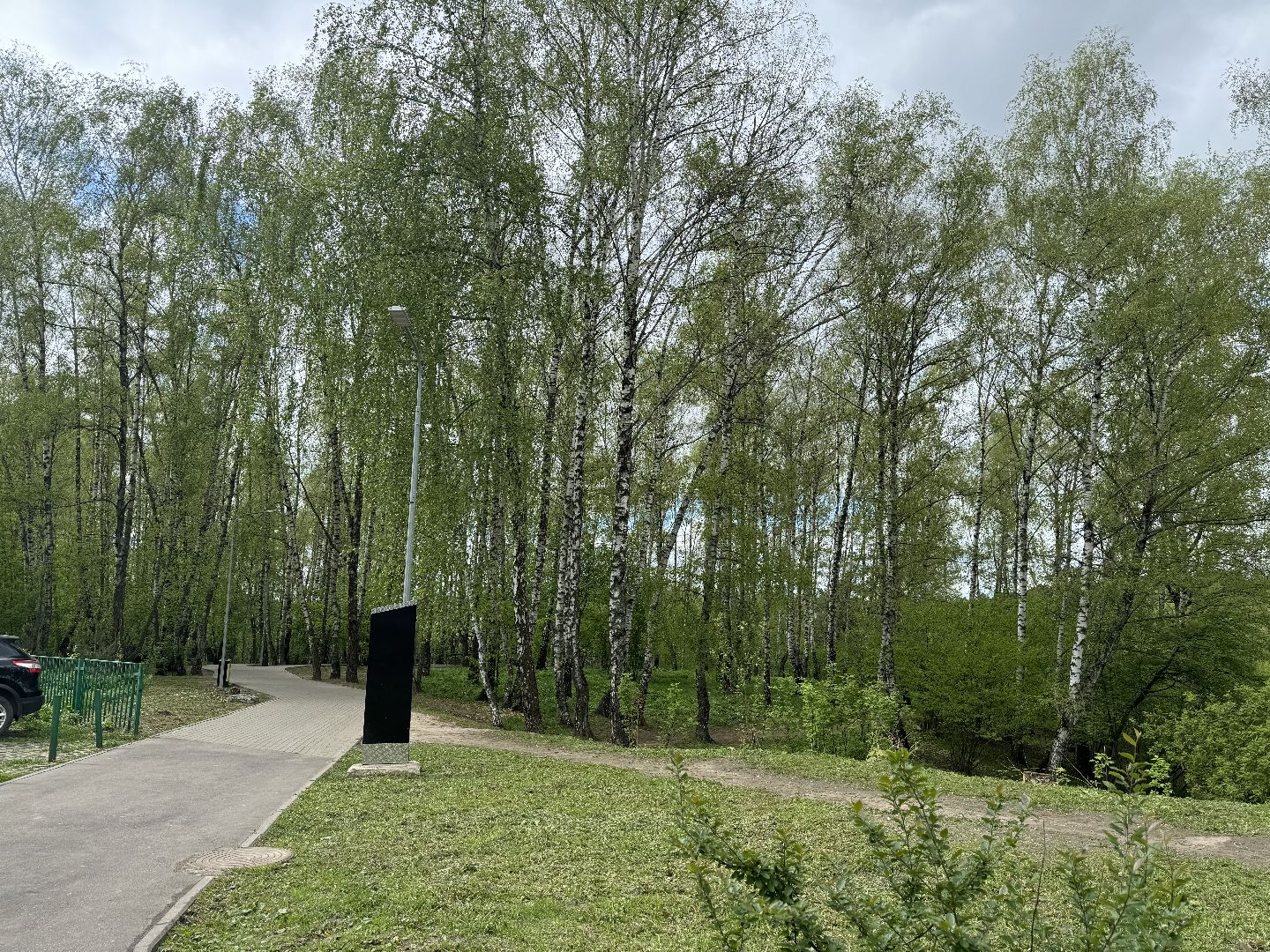 цветение, сезонная аллергия, врач аллерголог-иммунолог, ленинский городской округ,