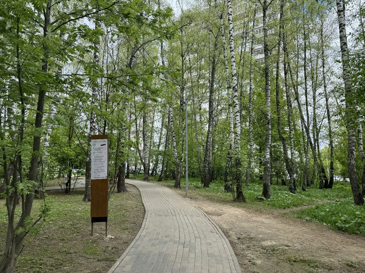 цветение, сезонная аллергия, врач аллерголог-иммунолог, ленинский городской округ,