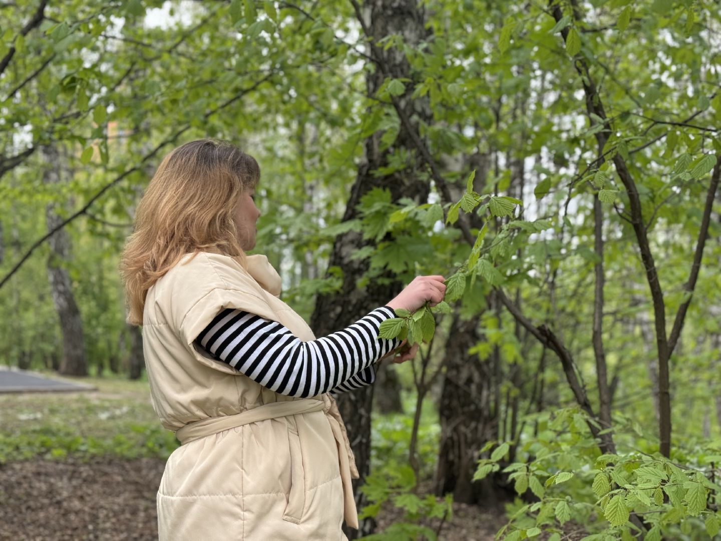 цветение, сезонная аллергия, врач аллерголог-иммунолог, ленинский городской округ,