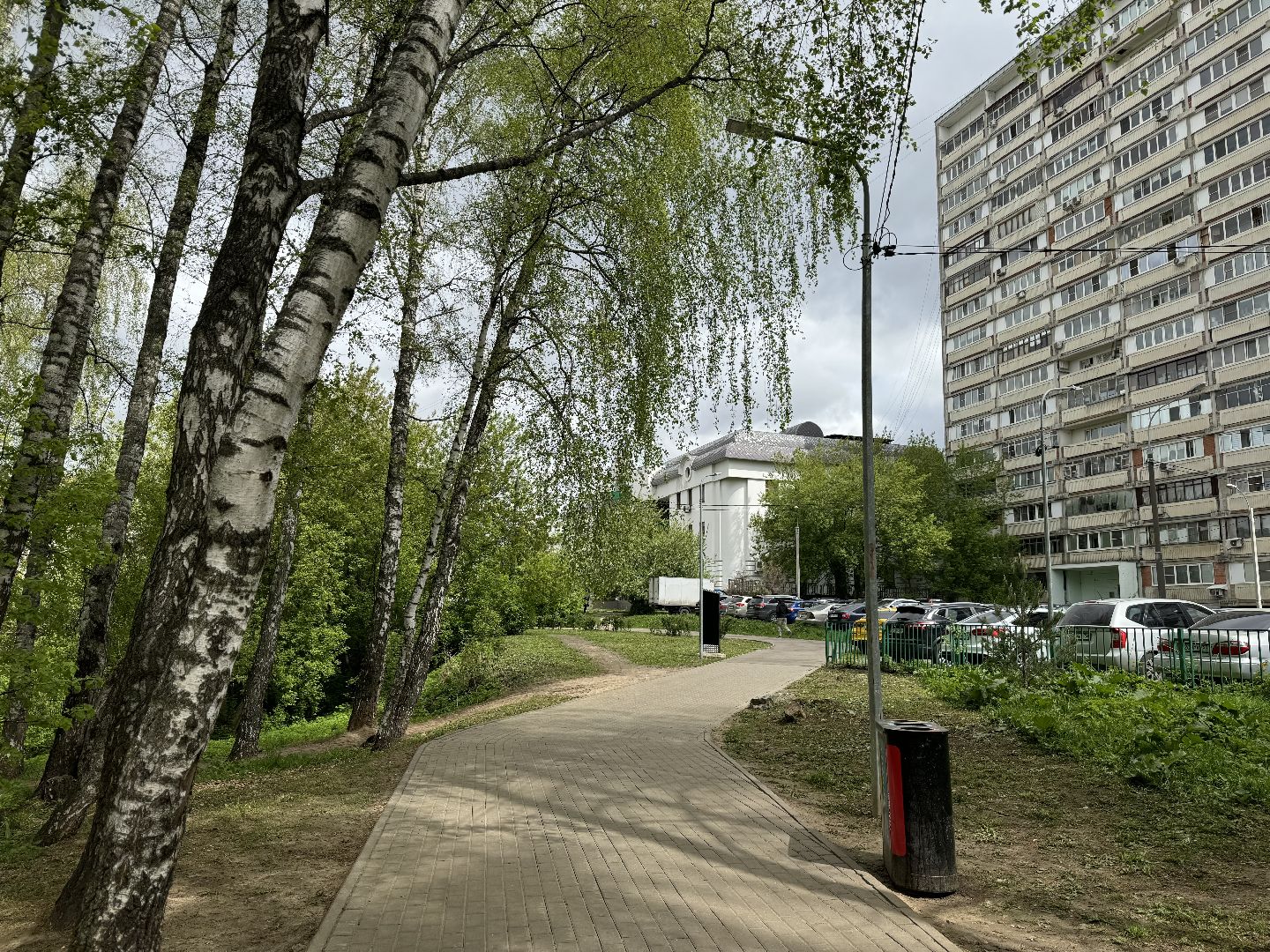 цветение, сезонная аллергия, врач аллерголог-иммунолог, ленинский городской округ,