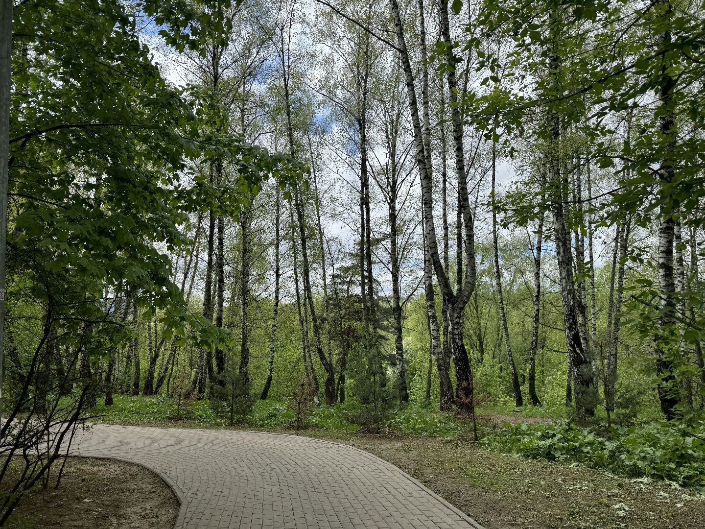 цветение, сезонная аллергия, врач аллерголог-иммунолог, ленинский городской округ,