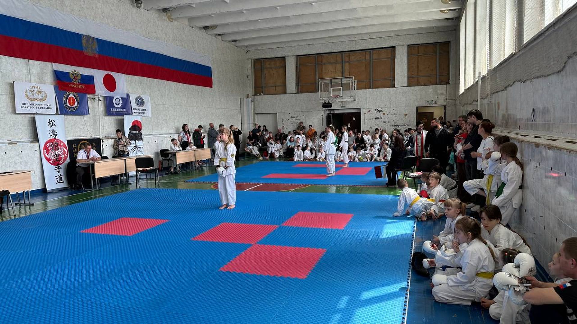 карате, домодедово, спорт,