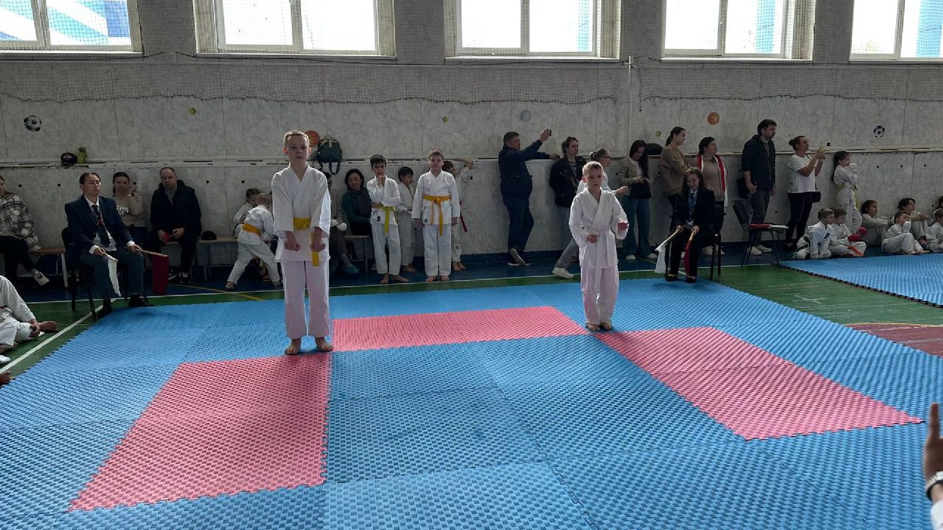 карате, домодедово, спорт,