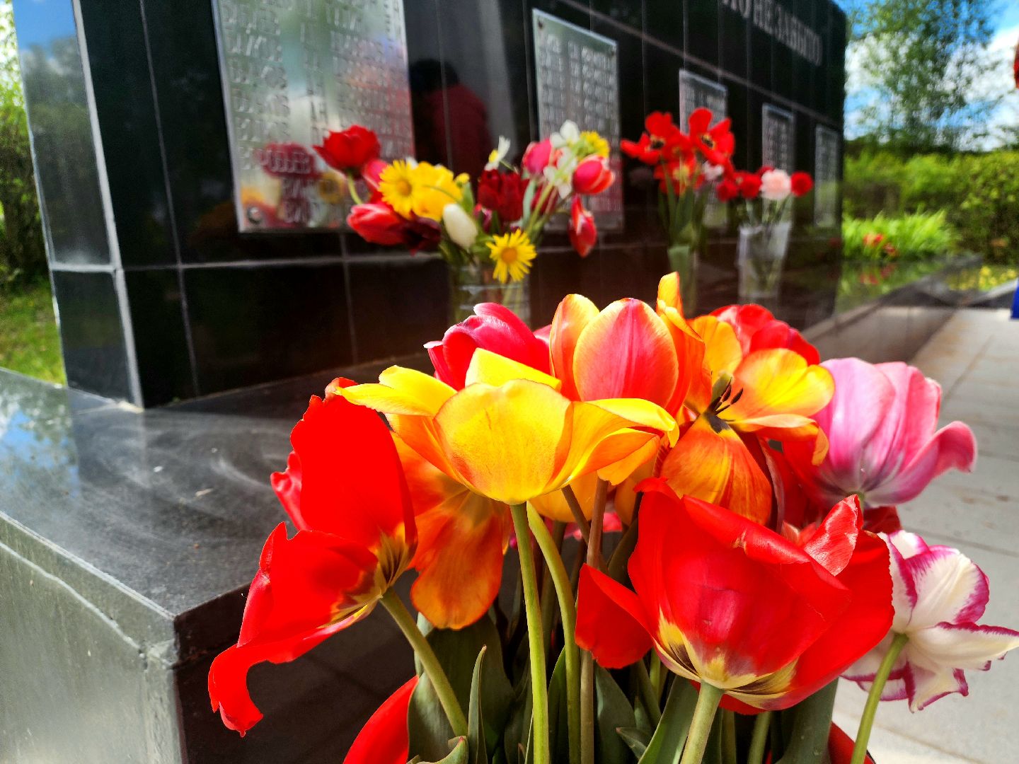 пущино, серпухов, день победы,