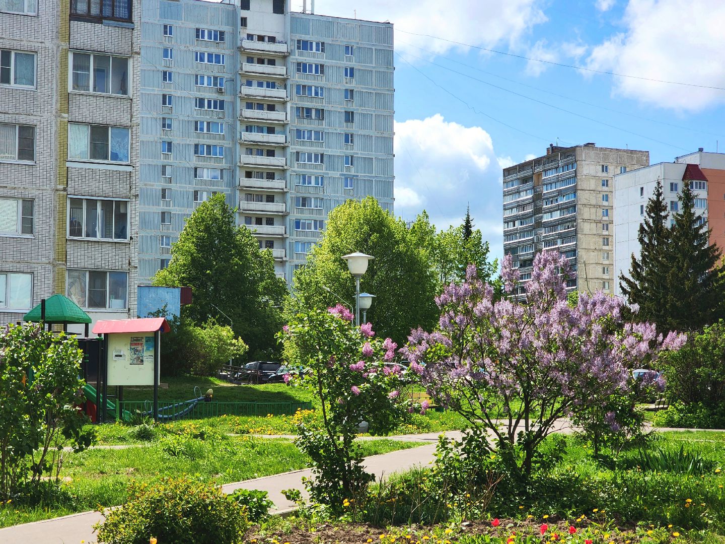 пущино, серпухов, сад победы, экология, сирень,