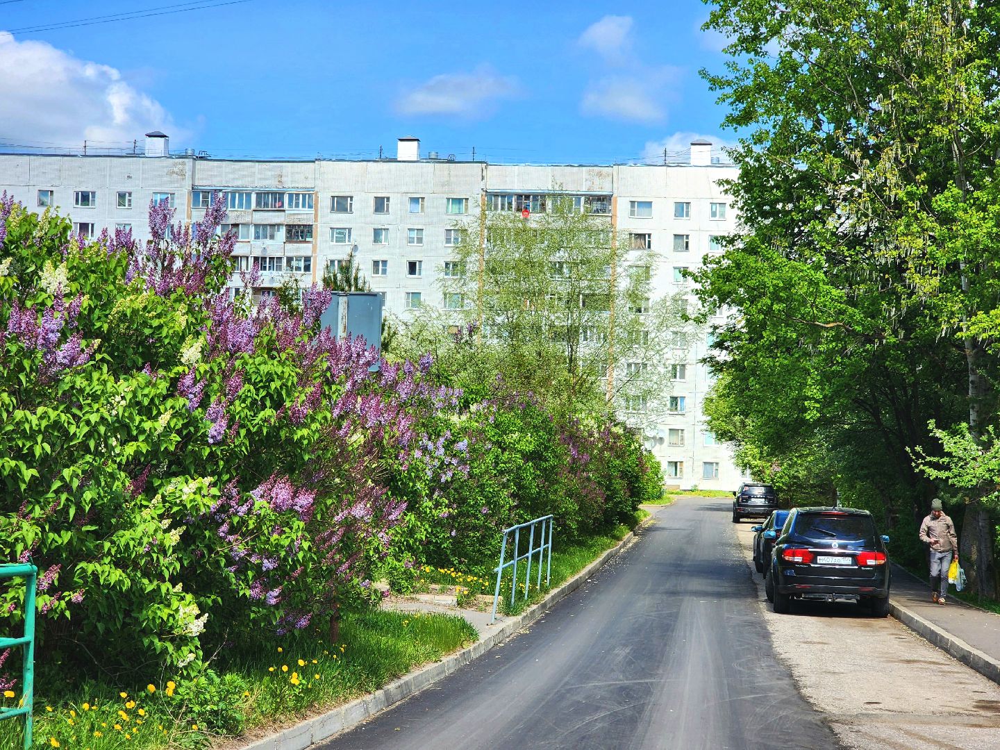 пущино, серпухов, сад победы, экология, сирень,