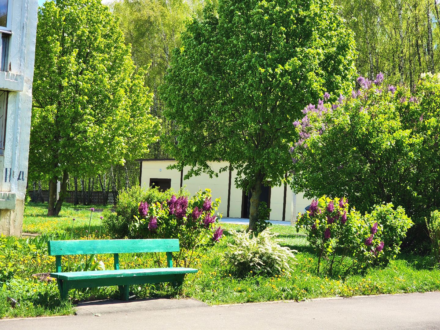 пущино, серпухов, сад победы, экология, сирень,