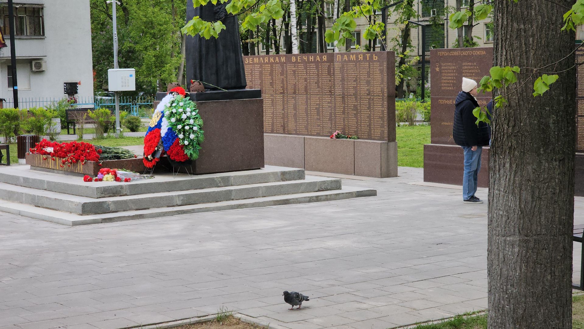 долгопрудный, мемориал скорбящая мать, день победы, кикбоксинг, тренер,