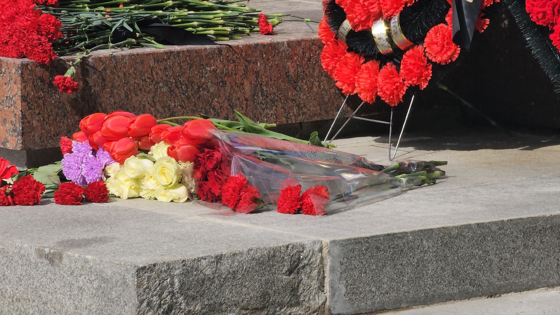 долгопрудный, мемориал скорбящая мать, день победы, кикбоксинг, тренер,