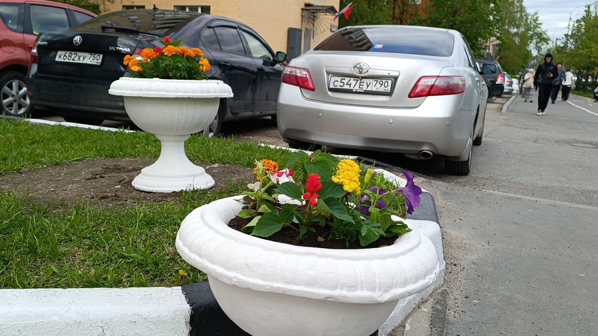 цветы, благоустройство, лобня,