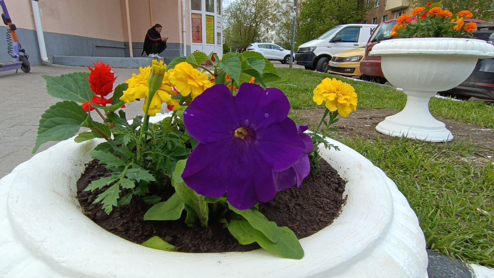 цветы, благоустройство, лобня,