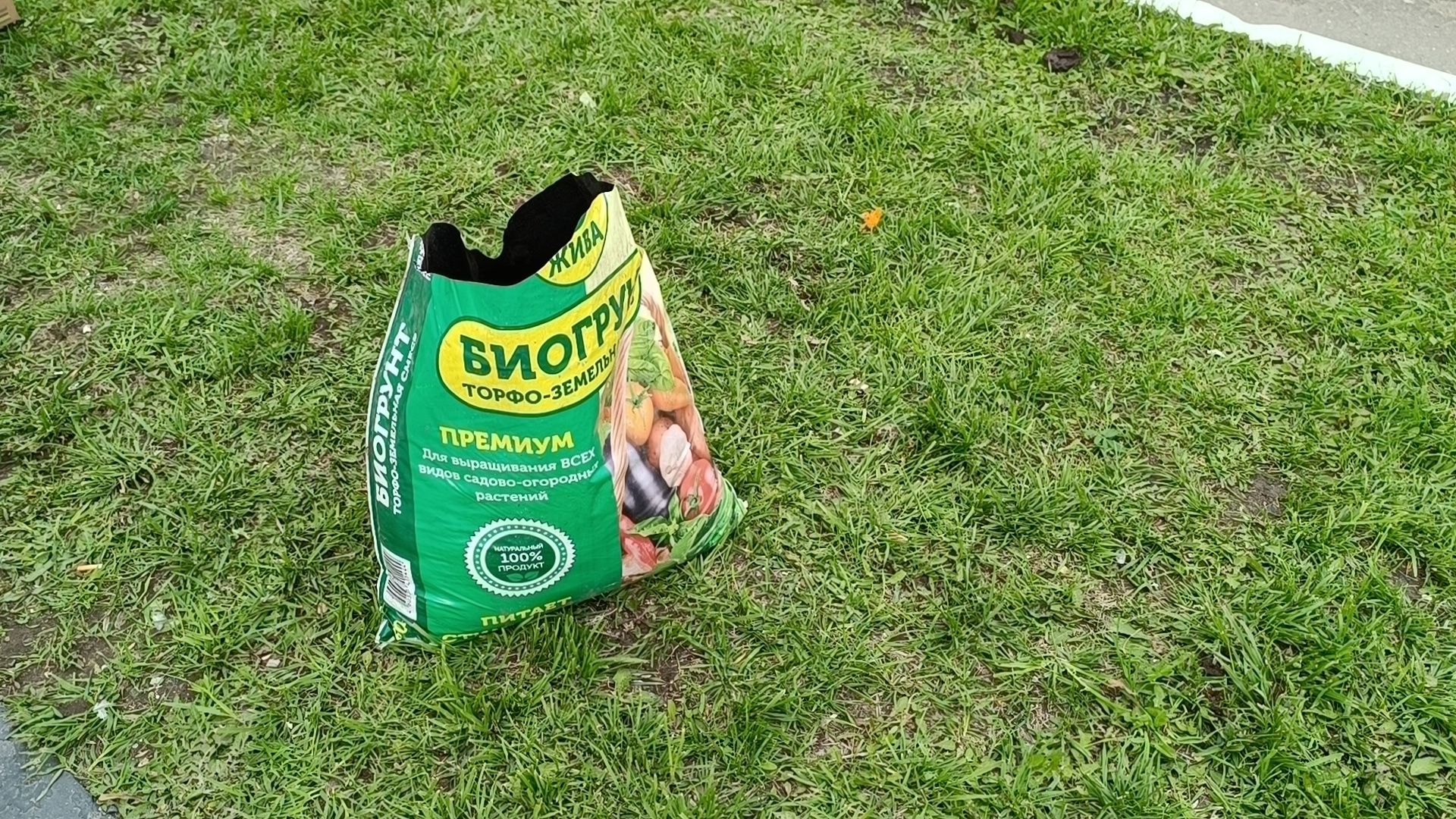 цветы, благоустройство, лобня,