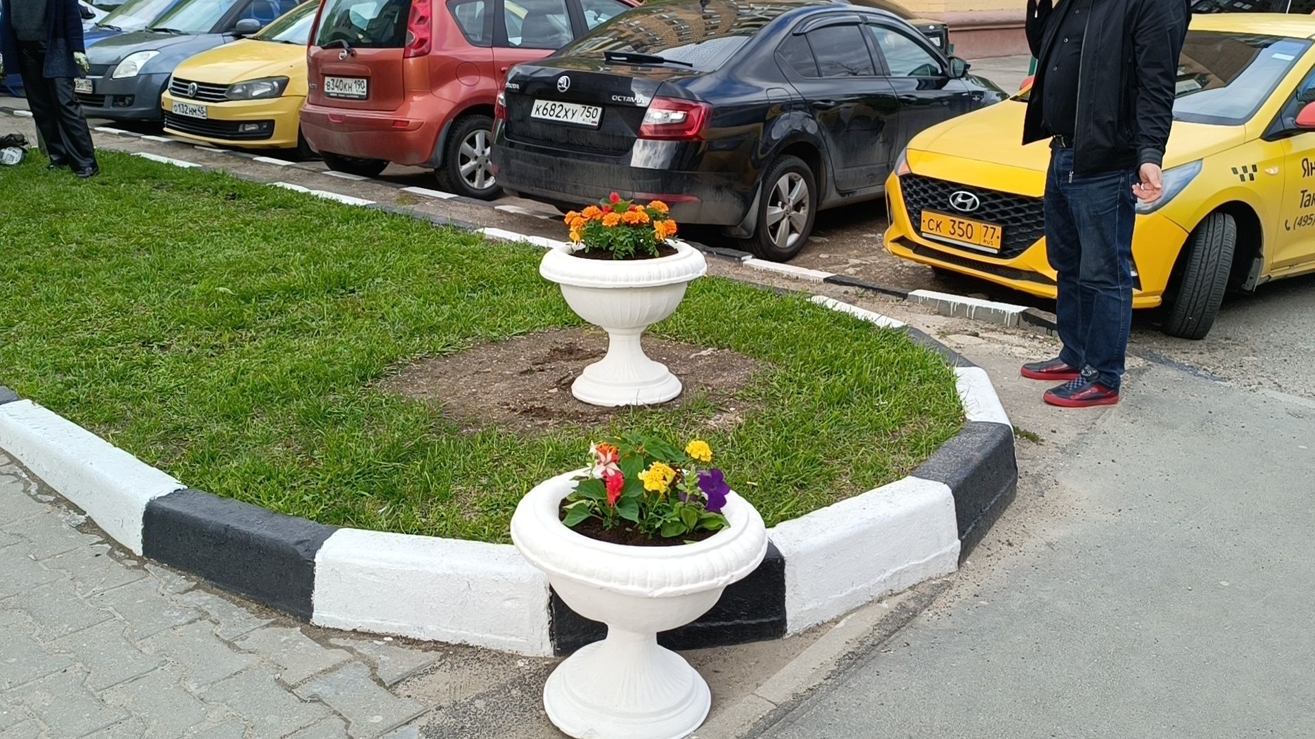 цветы, благоустройство, лобня,