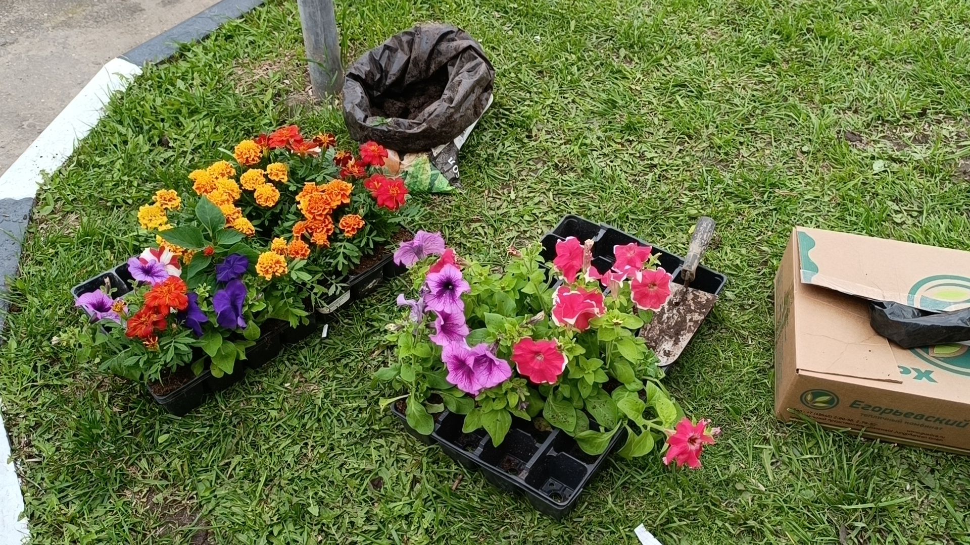 цветы, благоустройство, лобня,