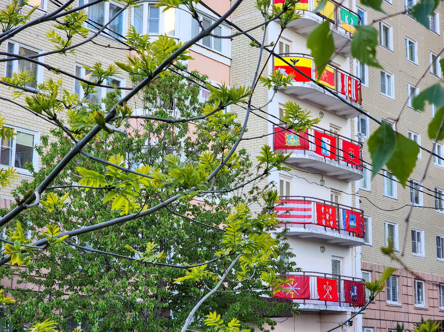 Подольск, сад камней памяти и славы, Мемориальный ансамбль, город воинской славы, 80 лет победе,