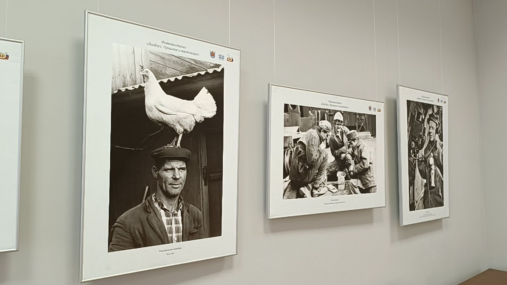 фотография, лобня, выставка,донбасс,