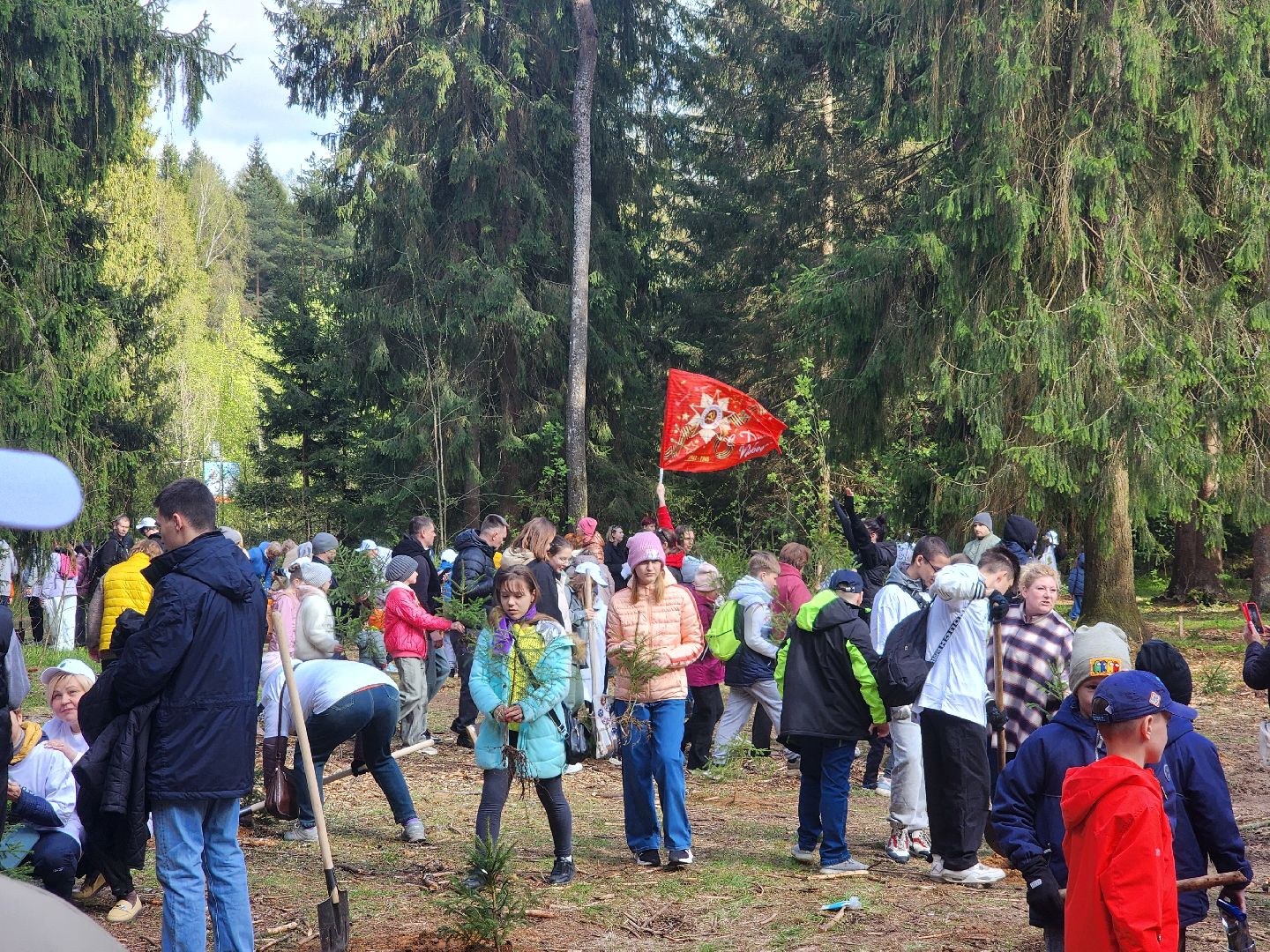 дубна, сад памяти, день победы, волонтеры подмосковья, молодая гвардия, юнармия,