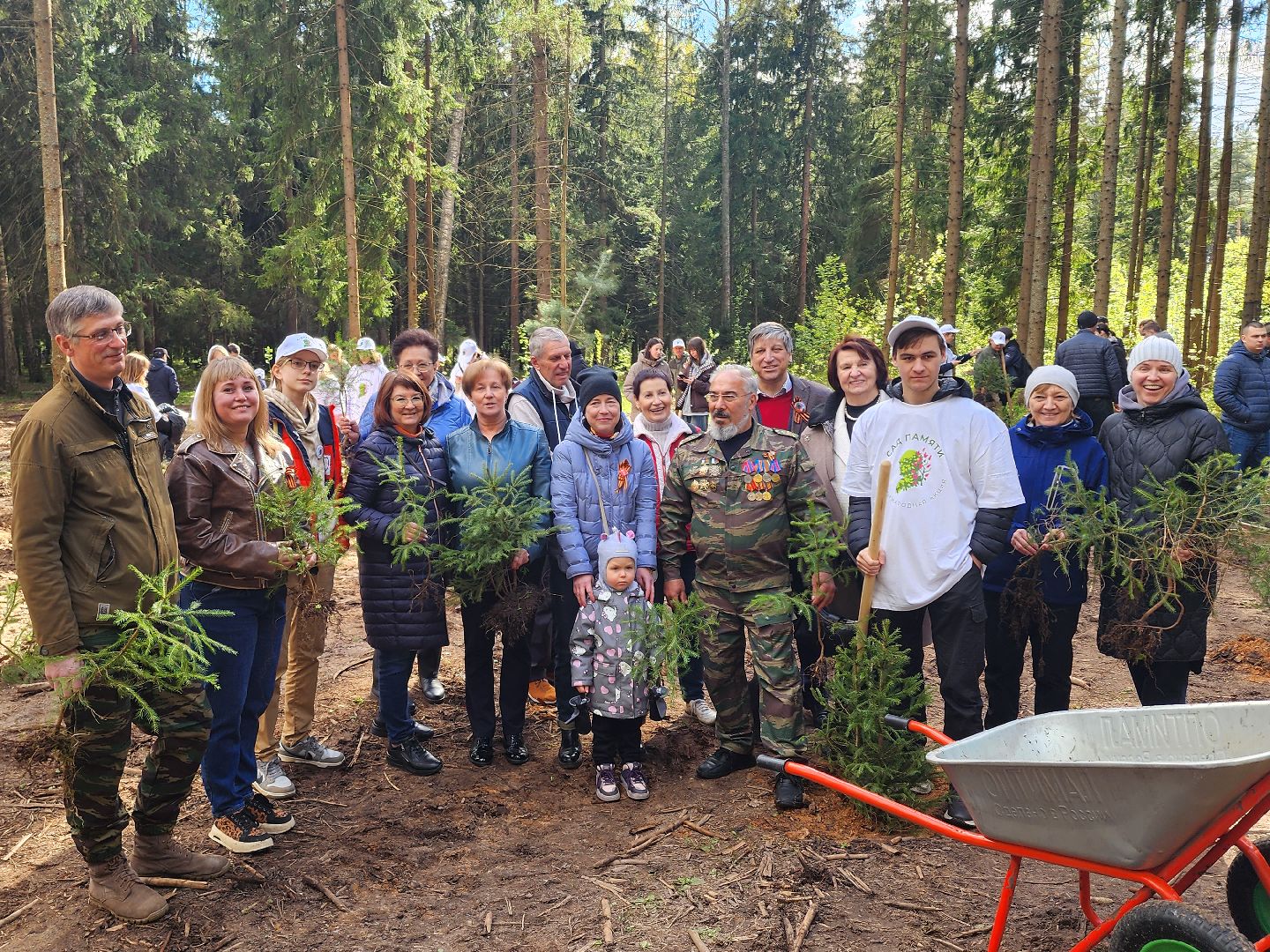 дубна, сад памяти, день победы, волонтеры подмосковья, молодая гвардия, юнармия,