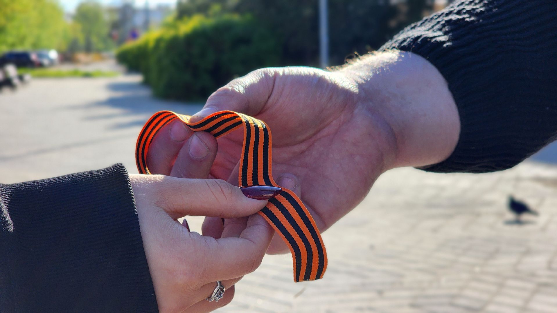 День Победы, георгиевская лента, акция, лосино-петровский,