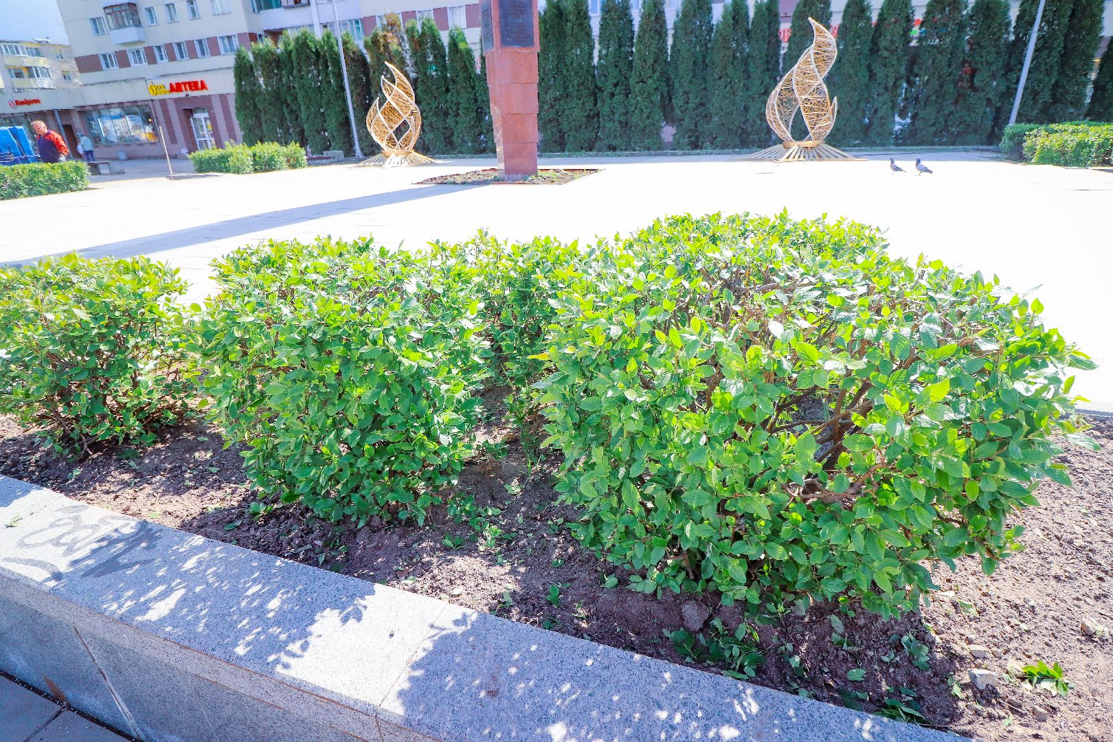 клин, общество, жкх, благоустройство,