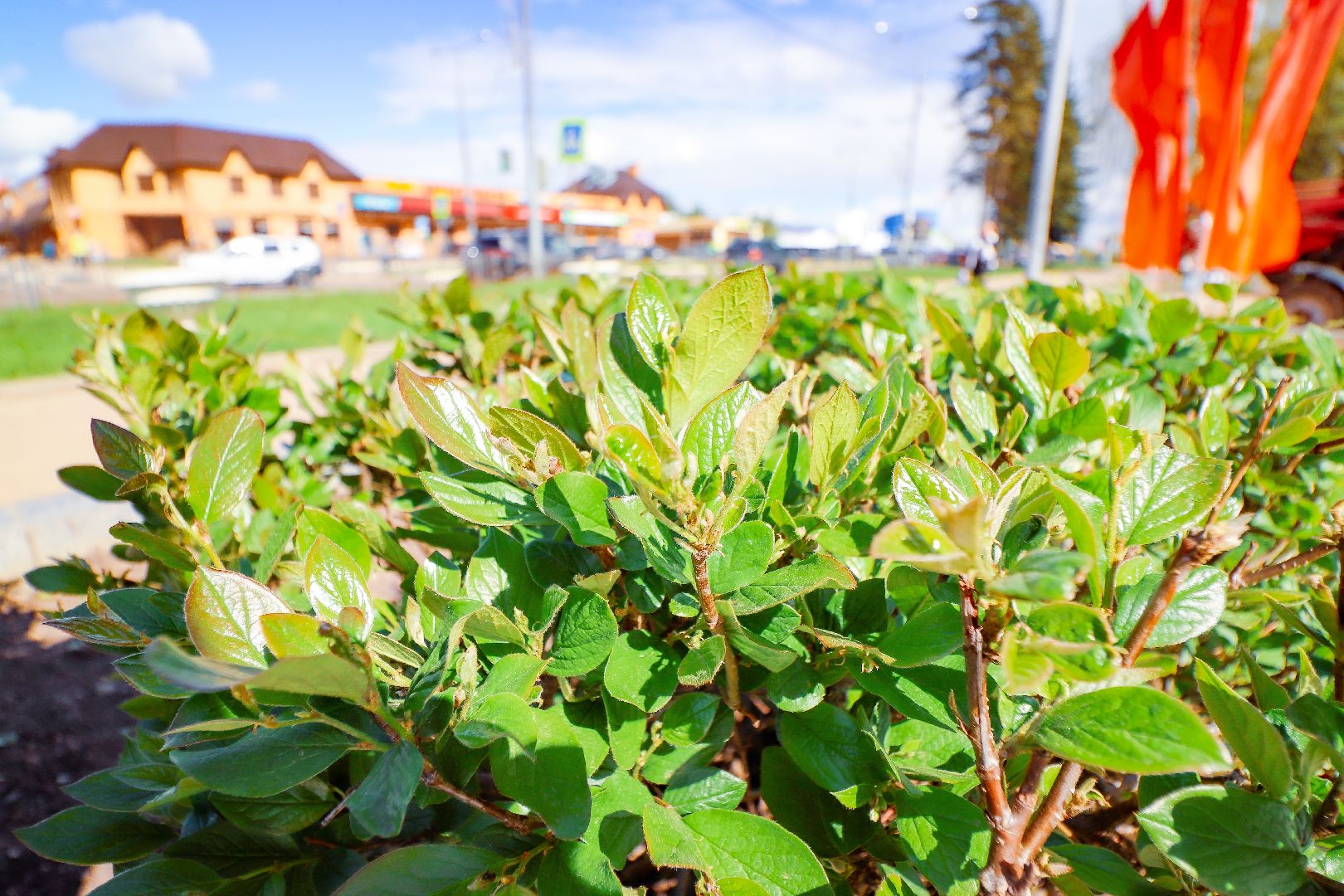 клин, общество, жкх, благоустройство,