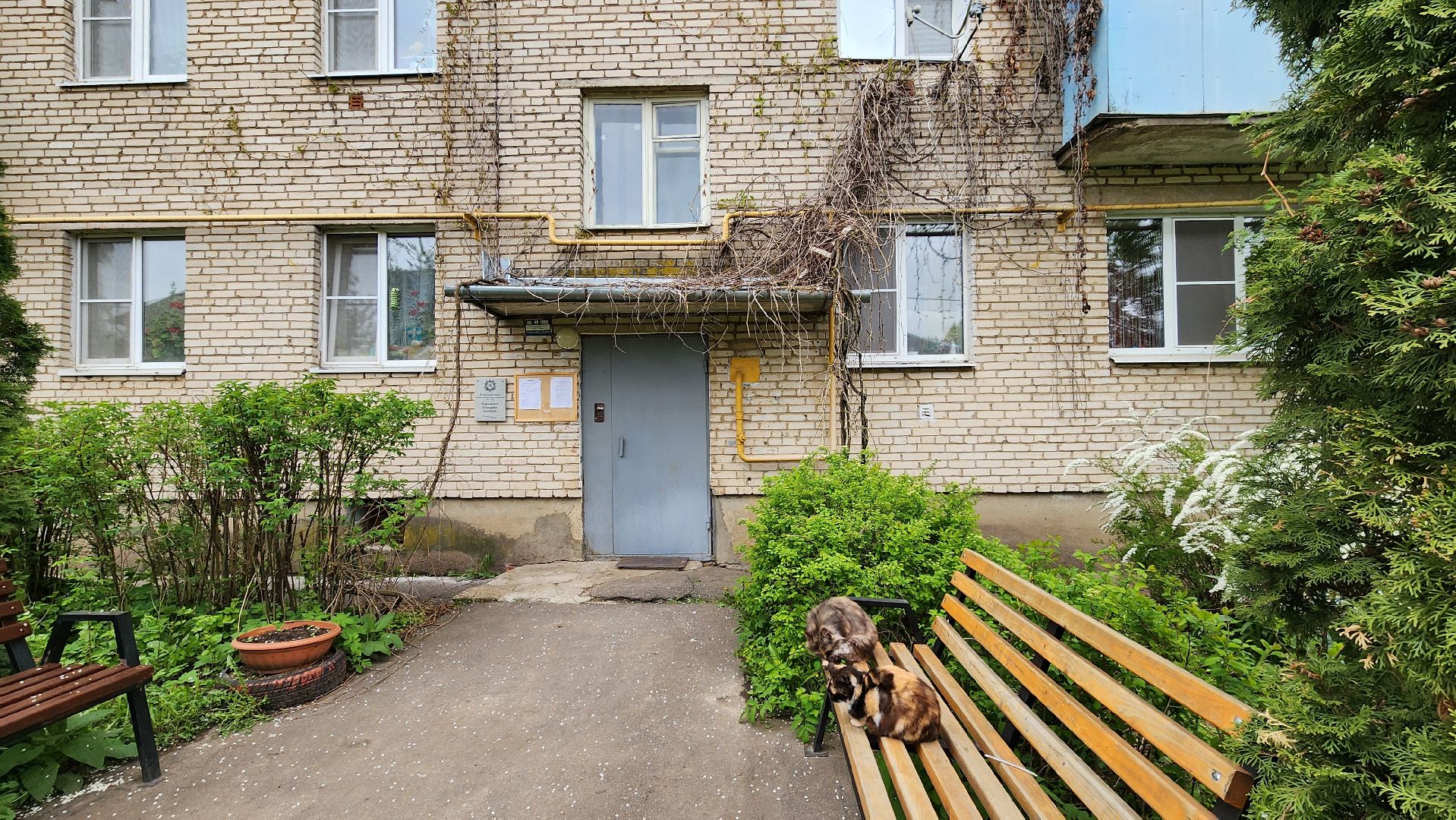 руза, ветеран вов, именная табличка, день победы,