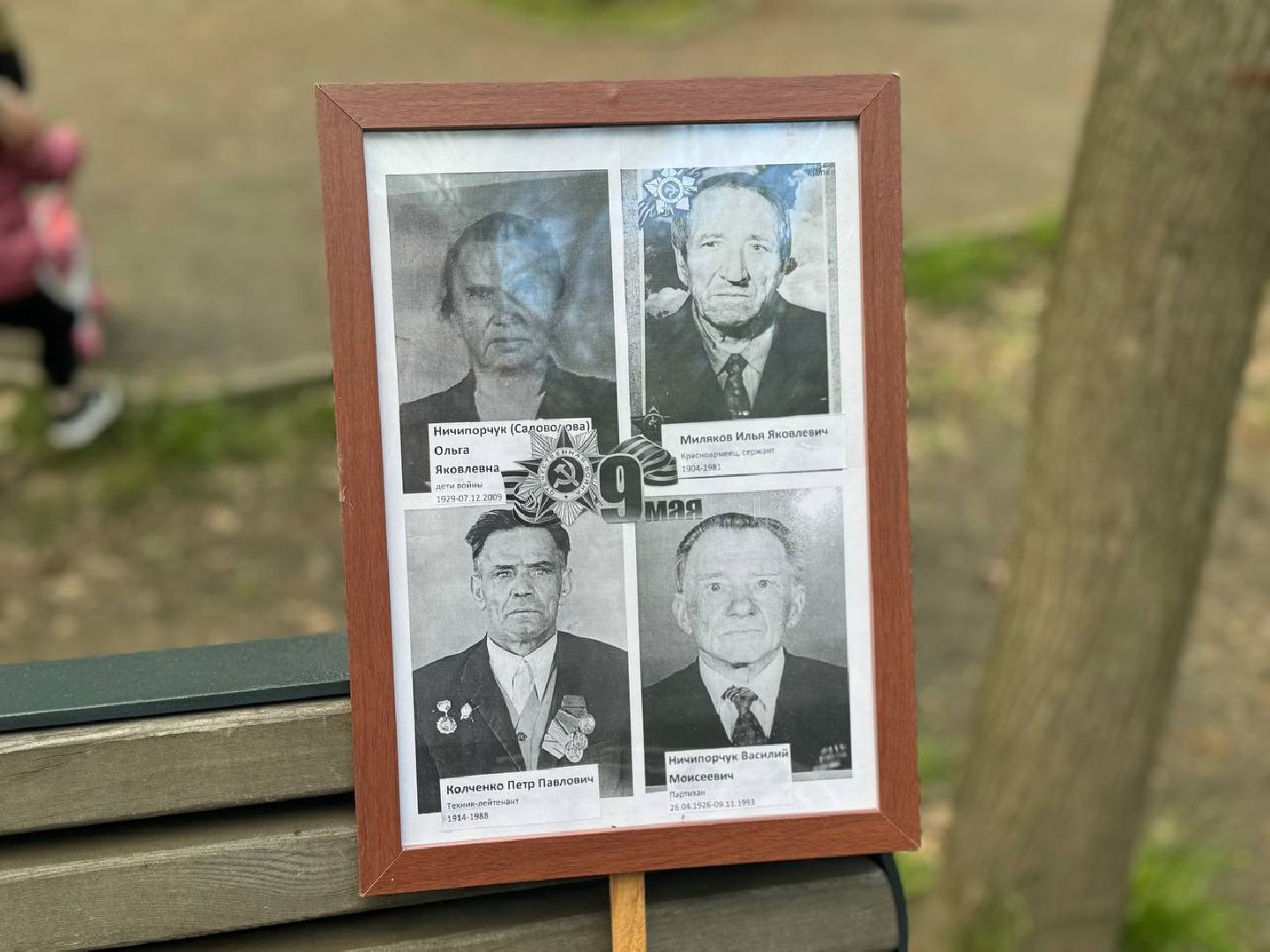 забег, 80-летие великой победы, праздник,