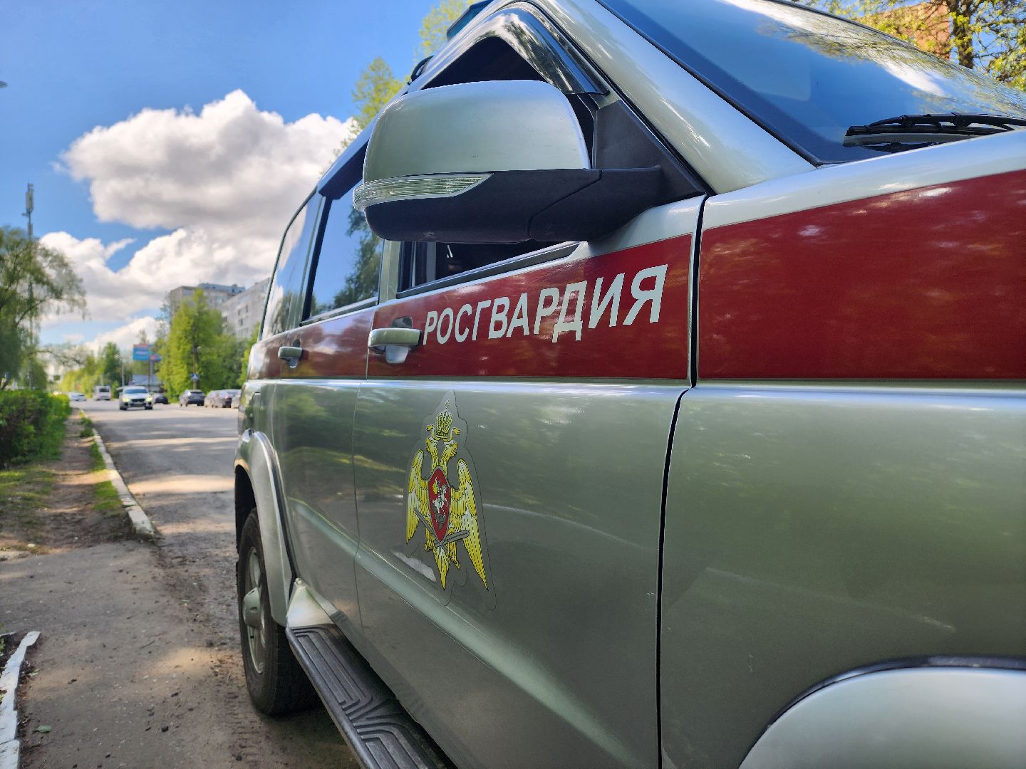 воскресенск, день победы , безопасность, росгвардия,